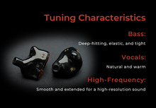 Load image into Gallery viewer, [🎶SG] AFUL Performer 8 (Performer8) 7 Balanced Armature + 1 Dynamic Driver In-ear Monitors
