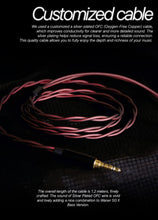 Load image into Gallery viewer, [🎶SG] TANGZU WAN'ER 2 (WANER WAN ER) PET Diaphragm Dynamic Driver
