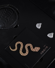 Load image into Gallery viewer, [🎶SG] EARACOUSTIC AUDIO SPA-LIMITED EDITION SILVER SNAKE COLLECTORS&#39; VERSION - Dynamic Driver In-Ear Monitors
