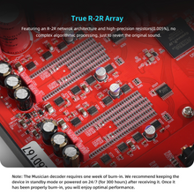 Load image into Gallery viewer, [🎶SG] MUSICIAN DELPHINUS - R2R DAC
