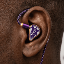 Load image into Gallery viewer, [🎶SG] EPZ 550 - 5 BA Flagship In-ear Monitors
