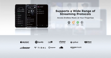 Load image into Gallery viewer, [🎶SG] Aune N5 EVO - Streamer and Multimedia Music Player
