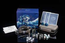 Load image into Gallery viewer, [🎶SG] DUNU DN142 - 1 DD + 4 BA + 2 Planar Tribrid Drivers IEMs
