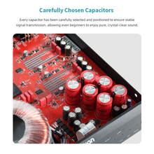 Load image into Gallery viewer, [🎶SG] MUSICIAN DELPHINUS - R2R DAC
