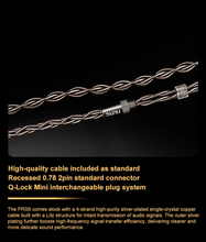 Load image into Gallery viewer, [🎶SG] DUNU PRS6 - 1DD + 4BA + 1MEMS Hybrid Gaming In-ear Monitor and Q-lock Mini

