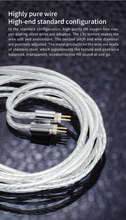 Load image into Gallery viewer, [🎶SG] TANCHJIM ORIGIN 1 Dynamic Driver IEM

