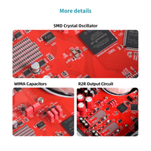 Load image into Gallery viewer, [🎶SG] MUSICIAN DELPHINUS - R2R DAC
