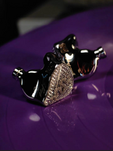 Load image into Gallery viewer, [🎶SG] EARACOUSTIC AUDIO SPA-HI END MAX Collector&#39;s Version - Titanium Diaphragm With Dual Magnetic Circuit Double Cavity In-ear Monitors
