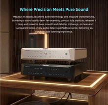 Load image into Gallery viewer, [🎶SG] MUSICIAN AUDIO PEGASUS 3 - R2R DAC (Pegasus III)
