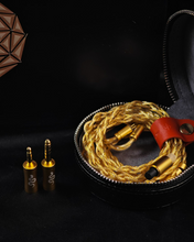 Load image into Gallery viewer, [🎶SG] EARACOUSTIC AUDIO SPA-LIMITED EDITION SILVER SNAKE COLLECTORS&#39; VERSION - Dynamic Driver In-Ear Monitors
