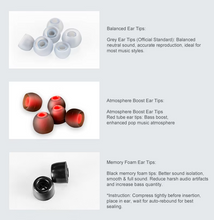Load image into Gallery viewer, [🎶SG] DUNU PRS6 - 1DD + 4BA + 1MEMS Hybrid Gaming In-ear Monitor and Q-lock Mini
