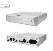 Load image into Gallery viewer, [🎶SG] MUSICIAN AUDIO PEGASUS 3 - R2R DAC (Pegasus III)
