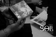 Load image into Gallery viewer, [🎶SG] KINERA CELEST SOL - 1 Dynamic Driver + 1 Bone Conduction In-Ear Monitors
