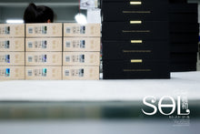 Load image into Gallery viewer, [🎶SG] KINERA CELEST SOL - 1 Dynamic Driver + 1 Bone Conduction In-Ear Monitors
