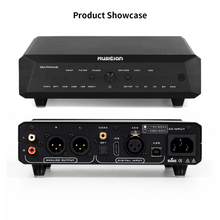 Load image into Gallery viewer, [🎶SG] MUSICIAN DELPHINUS - R2R DAC
