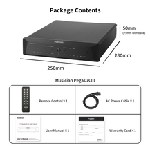 Load image into Gallery viewer, [🎶SG] MUSICIAN AUDIO PEGASUS 3 - R2R DAC (Pegasus III)
