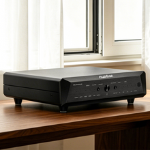 Load image into Gallery viewer, [🎶SG] MUSICIAN DELPHINUS - R2R DAC
