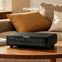 Load image into Gallery viewer, [🎶SG] MUSICIAN DELPHINUS - R2R DAC
