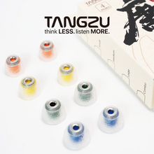 Load image into Gallery viewer, [🎶SG] TANGZU TANG SANCAI NOBLE Liquid Silicone Hybrid Eartips Stainless Steel Edition
