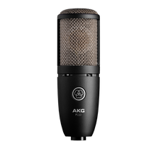 Load image into Gallery viewer, [🎶SG] AKG P220 Large Diaphragm True Condenser Microphone
