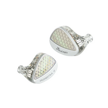 Load image into Gallery viewer, [🎶SG] KIWI EARS ORCHESTRA II (ORCHESTRA 2) - 10BA Professional In-Ear Monitor
