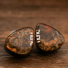 Load image into Gallery viewer, [🎶SG] DUNU x GIZAUDIO DAVINCI 2DD + 4BA Hybrid In-Ear Monitor
