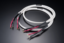 Load image into Gallery viewer, [🎶SG] AET EVO-1304H SP - Speaker Cable
