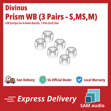 Load image into Gallery viewer, [🎶SG] ELOIT / DIVINUS PRISM WIDE BORE LSR Eartips For 4-6mm Nozzle
