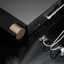 Load image into Gallery viewer, [🎶SG] DUNU Model 53 Waldstein (v53) Desktop Headphone Amplifier
