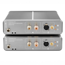 Load image into Gallery viewer, [🎶SG] Burson Audio Timekeeper GT4 (Grand Tourer 4) Mono Power Amplifier (Pair)
