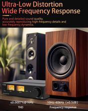Load image into Gallery viewer, [🎶SG] FX AUDIO L06 - Fully Balanced Digital Power Amplifier
