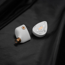 Load image into Gallery viewer, [🎶SG] DUNU x EFFECT AUDIO DK3001DB - Limited Edition 1 DD + 4 BA + 4 Micro Planar Drivers IEMs
