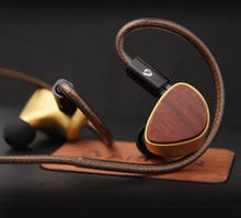 Load image into Gallery viewer, [🎶SG] ARISYN HUO SHU CU Edition - 10mm LCP Composite Diaphragm Dynamic Driver With 4.4mm Balanced IEMs
