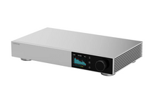 Load image into Gallery viewer, [🎶SG] TOPPING D900 Discrete Digital to Analog Convertor (DAC)
