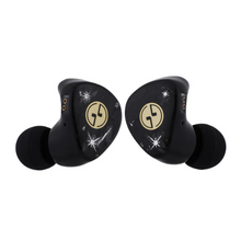 Load image into Gallery viewer, [🎶SG] TINHIFI C3 MKII In-Ear Monitor (IEM)
