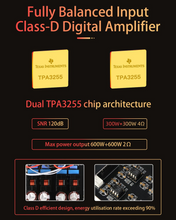 Load image into Gallery viewer, [🎶SG] FX AUDIO L06 - Fully Balanced Digital Power Amplifier
