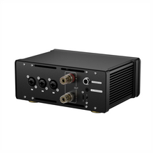 Load image into Gallery viewer, [🎶SG] TOPPING B200 Ultra-high Performance Mono Power Amplifier
