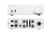 Load image into Gallery viewer, [🎶SG] TOPPING Mini 300 - Compact Desktop Power Amplifier
