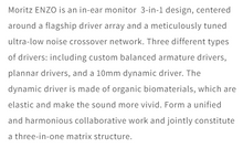 Load image into Gallery viewer, [🎶SG] Moritz ENZO - 1DD + 6BA + 2Planar Magnetic Hybrid Driver In-Ear Monitor

