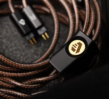 Load image into Gallery viewer, [🎶SG] ARISYN HUO SHU CU Edition - 10mm LCP Composite Diaphragm Dynamic Driver With 4.4mm Balanced IEMs
