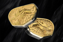 Load image into Gallery viewer, [🎶SG] TANGZU LI ZHI - Flagship Diamond Diaphragm Single Dynamic Driver IEMs
