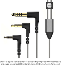 Load image into Gallery viewer, [🎶SG] Sennheiser IE 900 (IE900) - Flagship Audiophile In Ear Monitors (IEM)
