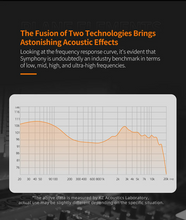 Load image into Gallery viewer, [🎶SG] KZ SYMPHONY 13.2mm Planar Magnetic Driver + 6mm Dynamic Driver IEM
