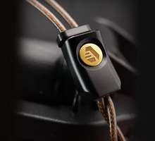 Load image into Gallery viewer, [🎶SG] ARISYN HUO SHU CU Edition - 10mm LCP Composite Diaphragm Dynamic Driver With 4.4mm Balanced IEMs
