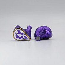 Load image into Gallery viewer, [🎶SG] EPZ 550 - 5 BA Flagship In-ear Monitors
