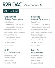 Load image into Gallery viewer, [🎶SG] XDUOO R2R DAC Card Module for XD05 PRO &amp; TA32
