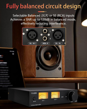 Load image into Gallery viewer, [🎶SG] FX AUDIO L06 - Fully Balanced Digital Power Amplifier
