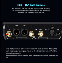 Load image into Gallery viewer, [🎶SG] MUSICIAN AUDIO PEGASUS 3 - R2R DAC (Pegasus III)
