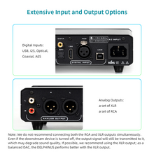 Load image into Gallery viewer, [🎶SG] MUSICIAN DELPHINUS - R2R DAC
