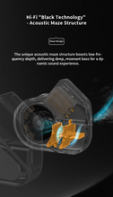 Load image into Gallery viewer, [🎶SG] TANCHJIM BUNNY DMT 4 Ultra In-Ear Monitors IEM
